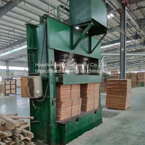 400 Ton Cold Press Wood Veneer Decorative Board Artificial Board Joinery Board thumbnail-5