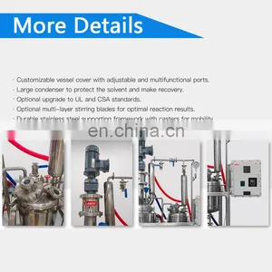 Good Price Lab Pilot Scale Laboratory Chemical Heated Filter Jacketed Crystallization Vacuum Sealed Stainless Steel Reactor for thumbnail-4