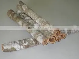 Cinnamon Bark/Cinnamon Cassia thumbnail-4