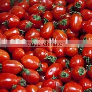 Vegetable and Fruit Sorting Machine thumbnail-5