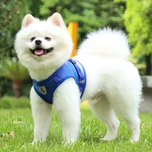 Dog Harness For Small Dog​ Breathable Mesh thumbnail-1