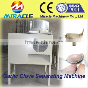 Bulk Shallot Garlic Clove Breaking and Separating Machine From Garlic Process Equipment thumbnail-1