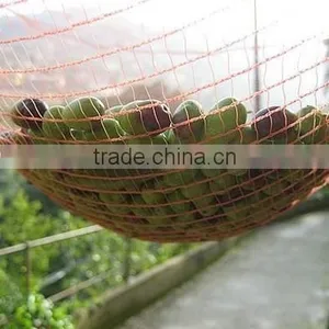 Top Quality Olive Collection Net in Agriculture thumbnail-1