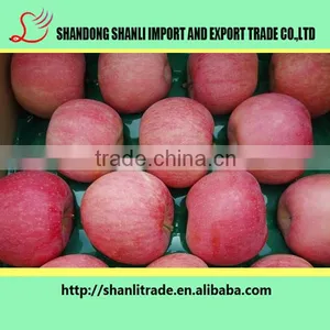 100/113/125# Fresh Organic Fruits Red Fuji Apples Fresh Fuji Wholesale Apples thumbnail-2