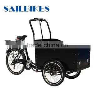 Electric Bicycle Cargo for Family thumbnail-1