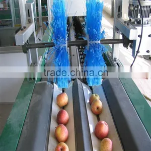 Potato-size Sorter thumbnail-5
