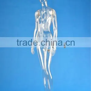 Female Clear Full Body Mannequins thumbnail-1