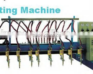 ALMACO Multi-head Strip Cutting Machine thumbnail-1