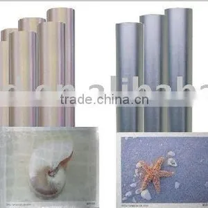 Professional Premium Quality Wide Format Inkjet Silk Silver Film for Dye and Pigment Ink thumbnail-1