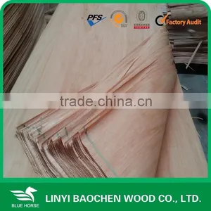 TAUN WOOD Veneer thumbnail-1