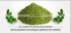 Moringa Leaf Powder in India/common Cultivation Moringa Leaves/organic Cultivation Drumstick Leaves Exporters thumbnail-5