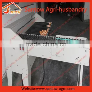 Egg Grader Machine Price thumbnail-4