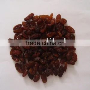 Brown Raisin thumbnail-1