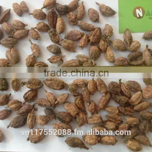 Vietnam High Quality Black Cardamom thumbnail-3