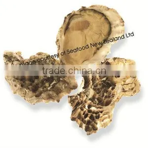 Live New Zealand Pacific Oyster thumbnail-1
