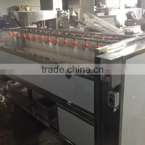 Polish Type Potato Washing and Polishing Washer & Peeler Machine / Equipment thumbnail-2