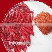 Small Chilli 2012 New Crop thumbnail-1