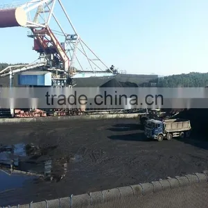 Vessels for Coal Cargo ex Russia to Korea thumbnail-1