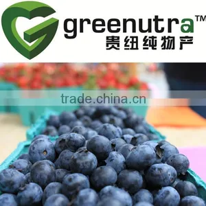 Blueberry Extract Anthocyanidins thumbnail-1