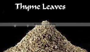 Thyme Oil thumbnail-3