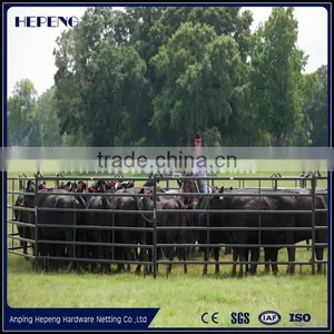 Heavy Duty Hot Dipped Galvanized Livestock Yard Fence Cattle Corral Yard Panel From China Factory thumbnail-6