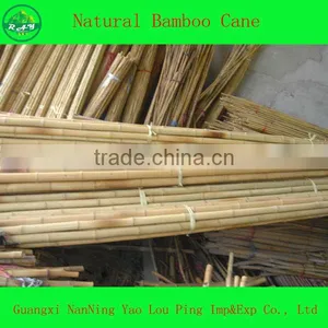 Chaocoal Home Product Bamboo thumbnail-1
