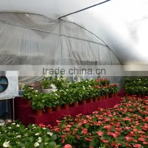 Flower Garden Plastic Greenhouse Film First-rated PE Greenhouse Film thumbnail-1