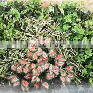 SJ4001205 Fake Wall Decorative With Artifiical Plant thumbnail-1