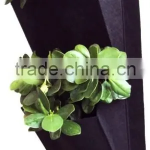 2 Puches Hanging Wall Fabric Pot Container Vertical Garden thumbnail-5