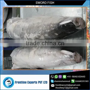 Hot Selling Whole Round Frozen Swordfish Price thumbnail-1