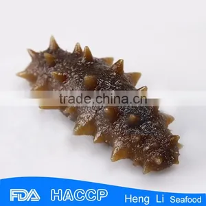 HL011 Hot Sale Frozen Floridana Sea Cucumber thumbnail-5