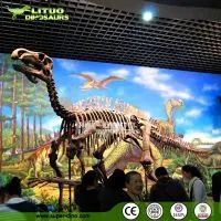 Science Educationa Equipment Fiberglass Dinosaur Fossil Replica thumbnail-1