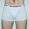 Newest Products, Men's Underwear, Men Boxer Shorts. Underpants thumbnail-2