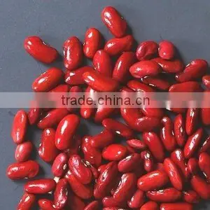 Organic Dark Red Kidney Bean thumbnail-1
