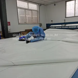 Flexitank Flexibag for 20