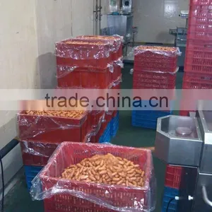 Sausage Cutting Knot Machine thumbnail-4