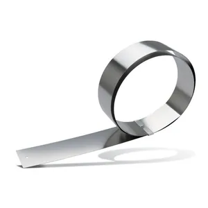 316L SS Ultra Narrow Strip 0.5mm 1mm 2mm 3mm 4mm Width 0.1mm 0.2mm 0.3mm Shim Grade thumbnail-1