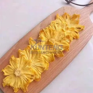 Dehydrated Pineapple Machine Fruit Dryer 220V Electric Heating Constant Temperature Drying Oven EPC thumbnail-4