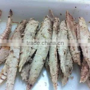 Seafood Can Material of Forzen Bonito Loin thumbnail-1