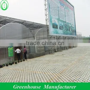Venlo pc Greenhouse for Sale thumbnail-1