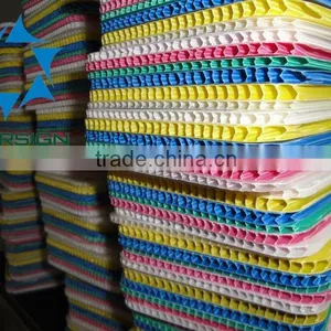 Chloroplast PP Boards Manufacture thumbnail-1