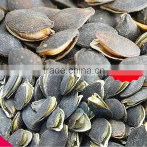 Chestnut Pine Nut Opener Equipment,Filbert Nut Opening Machine,Walnut Opening Machine thumbnail-3