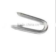 1-1/8"U Staple thumbnail-1