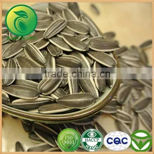 Top Sale Products Sunflower Seeds in China thumbnail-1