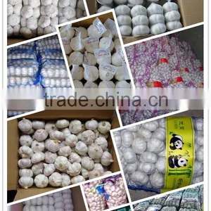 Garlic From Laiwu thumbnail-2