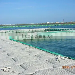 Farm Fish thumbnail-1