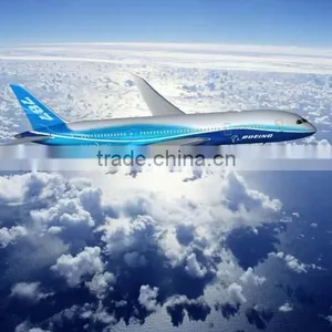 Sea Freight From China to Dubai/india/mumbai thumbnail-1