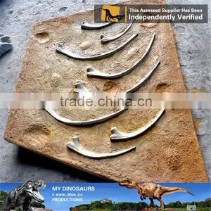 MY Dino-O11 Dinosaur Park Equipment Dinosaur Fossil Excavation Kit thumbnail-6