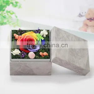 2016 Yiwu Aimee Wholesale Fresh Colorful Preserved Flower(AM-PF01) thumbnail-2