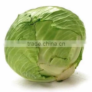 Exporters of Fresh Vegetables thumbnail-5